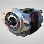 Hydraulische Zahnradpumpe für HELI