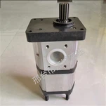 Hydraulische Zahnradpumpe 4212880 4212879 für Landini-Traktor