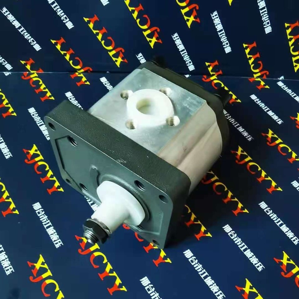 Hydraulic Gear Pump 3539856M91,SNP2/8S C001 Used For Landini Tractor high quality