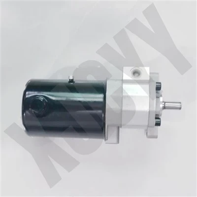 Hydraulische Zahnradpumpe 1691156M93 für Massey Ferguson Traktor